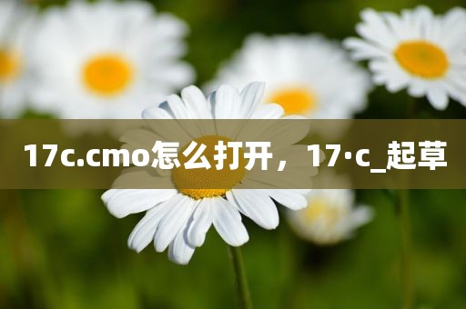 17c.cmo怎么打开，17·c_起草