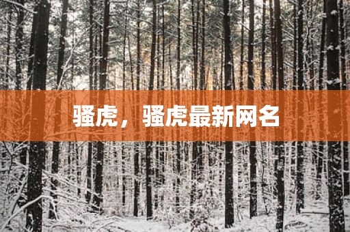 骚虎，骚虎最新网名