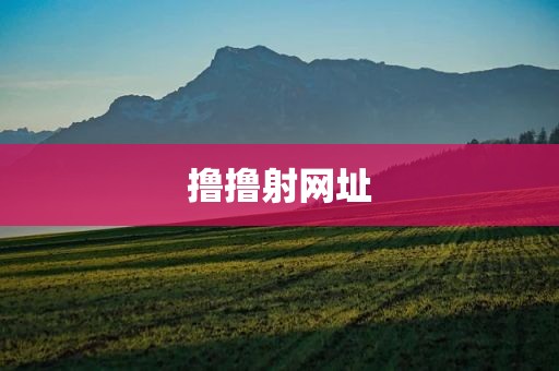撸撸射网址
