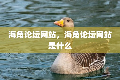 海角论坛网站，海角论坛网站是什么
