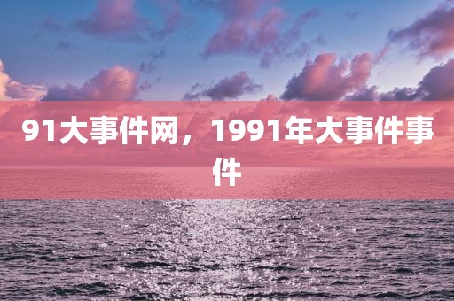 91大事件网，1991年大事件事件