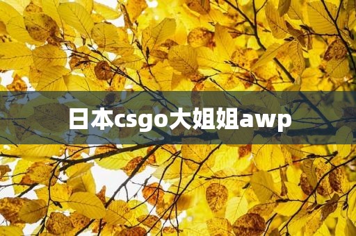 日本csgo大姐姐awp