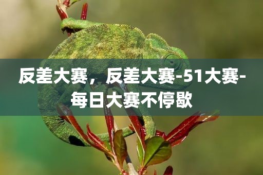 反差大赛，反差大赛-51大赛-每日大赛不停歇