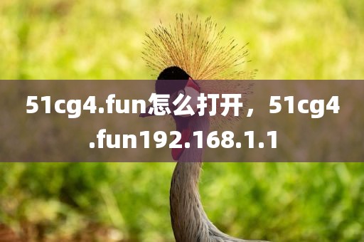51cg4.fun怎么打开，51cg4.fun192.168.1.1