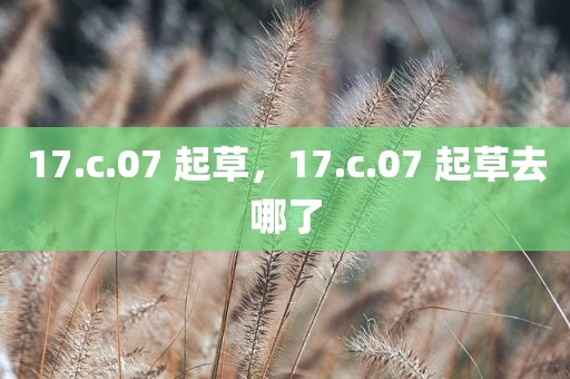17.c.07 起草，17.c.07 起草去哪了