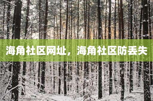 海角社区网址，海角社区防丢失