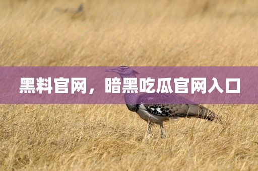 黑料官网，暗黑吃瓜官网入口