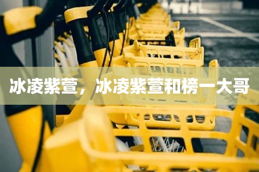 冰凌紫萱，冰凌紫萱和榜一大哥