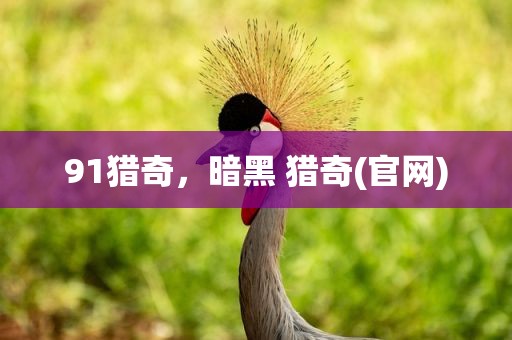 91猎奇，暗黑 猎奇(官网)