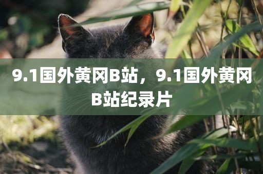 9.1国外黄冈B站，9.1国外黄冈B站纪录片