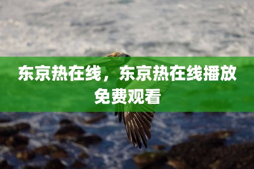 东京热在线，东京热在线播放免费观看