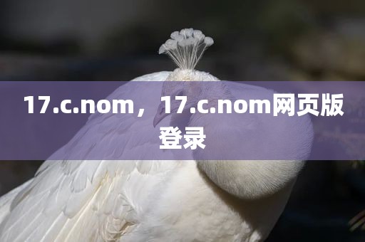 17.c.nom，17.c.nom网页版登录