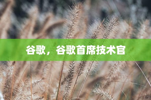 谷歌，谷歌首席技术官