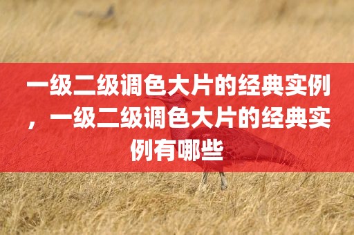 一级二级调色大片的经典实例，一级二级调色大片的经典实例有哪些
