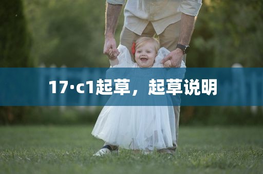 17·c1起草，起草说明