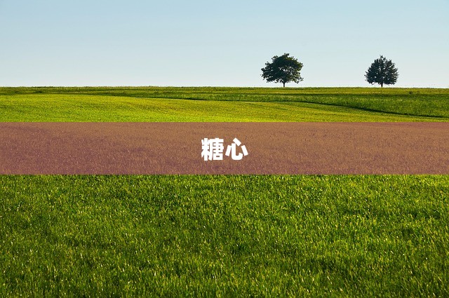 糖心