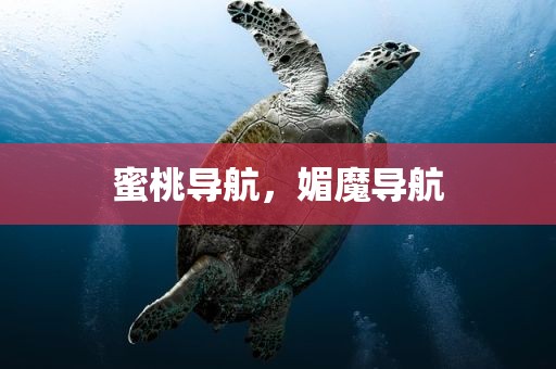 蜜桃导航，媚魔导航