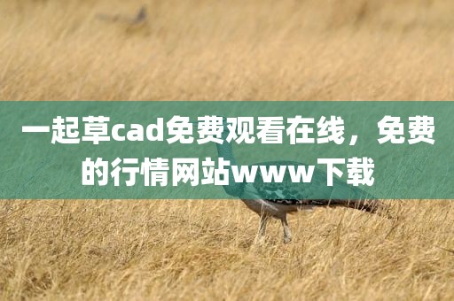 一起草cad免费观看在线，免费的行情网站www下载