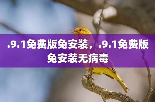 .9.1免费版免安装，.9.1免费版免安装无病毒