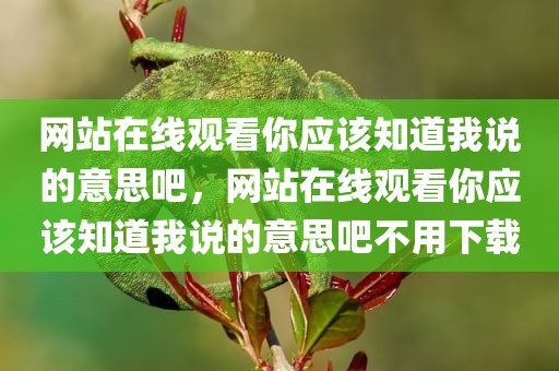 网站在线观看你应该知道我说的意思吧，网站在线观看你应该知道我说的意思吧不用下载