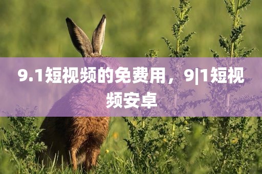 9.1短视频的免费用，9|1短视频安卓