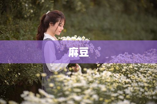 麻豆