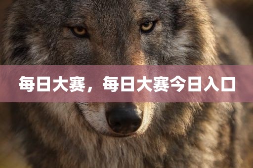 每日大赛，每日大赛今日入口