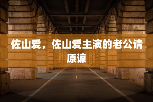佐山爱，佐山爱主演的老公请原谅