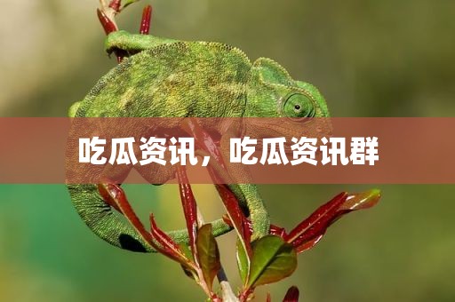 吃瓜资讯，吃瓜资讯群