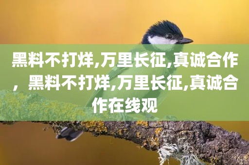 黑料不打烊,万里长征,真诚合作，黑料不打烊,万里长征,真诚合作在线观