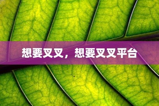 想要叉叉，想要叉叉平台