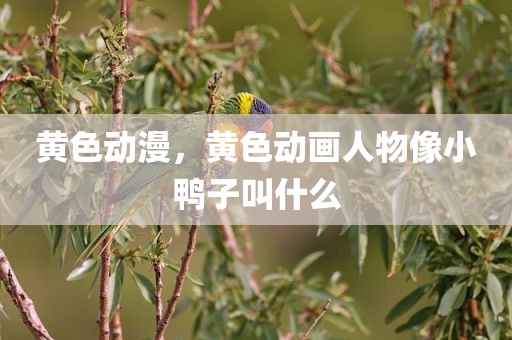 黄色动漫，黄色动画人物像小鸭子叫什么