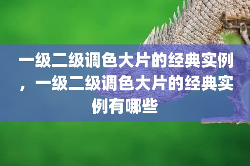一级二级调色大片的经典实例，一级二级调色大片的经典实例有哪些