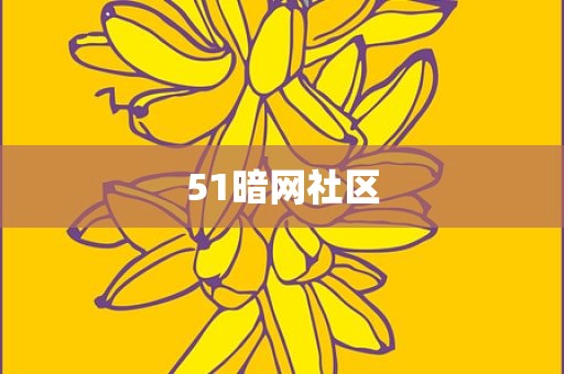 51暗网社区