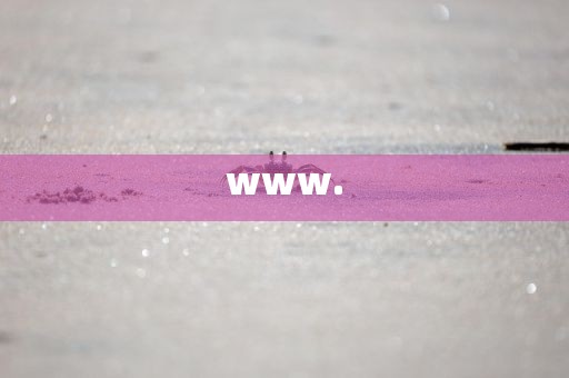 www.