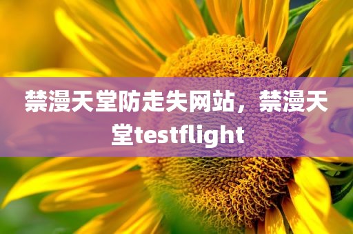 禁漫天堂防走失网站，禁漫天堂testflight