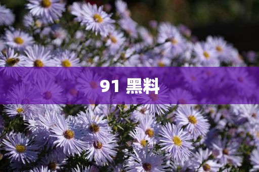91 黑料