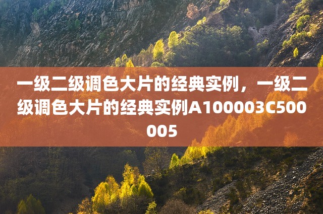 一级二级调色大片的经典实例，一级二级调色大片的经典实例A100003C500005