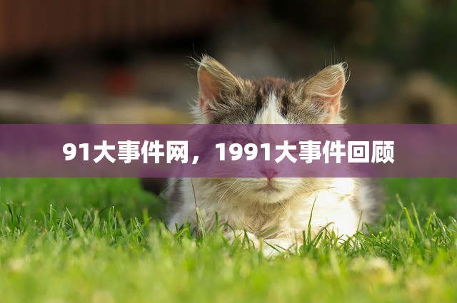 91大事件网，1991大事件回顾