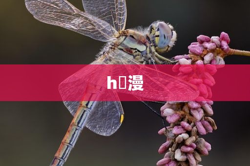 h動漫