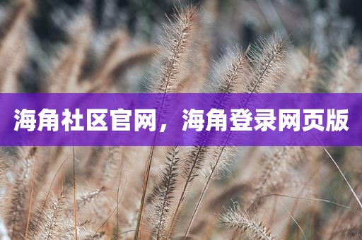海角社区官网，海角登录网页版