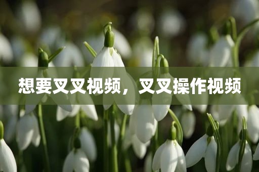 想要叉叉视频，叉叉操作视频