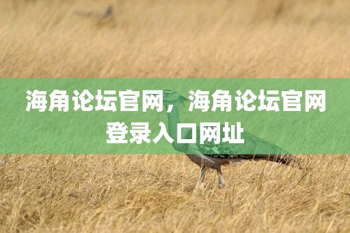 海角论坛官网，海角论坛官网登录入口网址