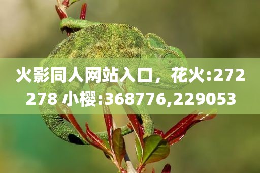 火影同人网站入口，花火:272278 小樱:368776,229053