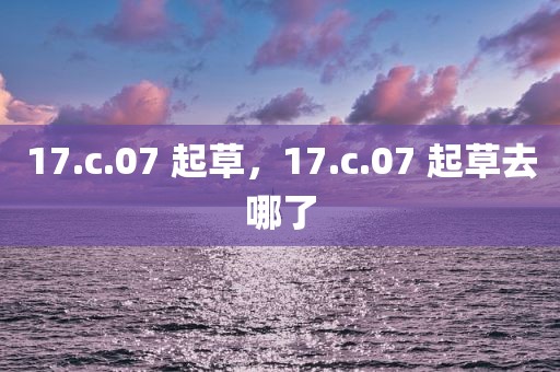 17.c.07 起草，17.c.07 起草去哪了