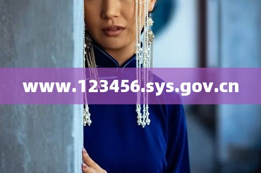 www.123456.sys.gov.cn