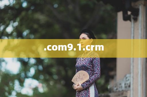 .com9.1.crm
