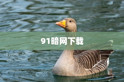 91暗网下载