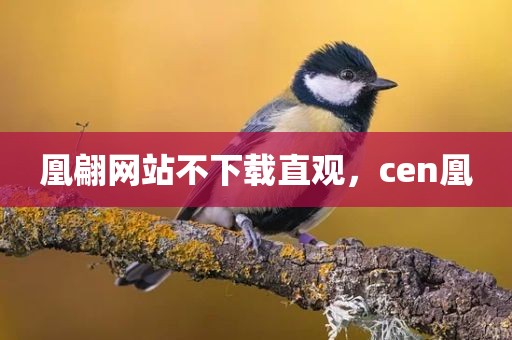 凰翩网站不下载直观，cen凰