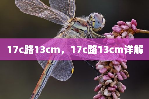 17c路13cm，17c路13cm详解